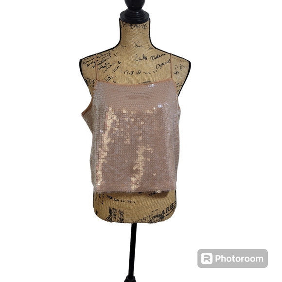 Madewell Tops - Madewell Sequin Square-Neck Cami Tank Top Womens L Tan Beige Sparkle Cle…